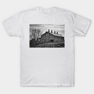 Big Barn T-Shirt